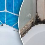 Jak se rychle zbavit plísní v domě: jednoduchý, ale velmi
