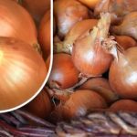 Mnozí dělají osudovou chybu: odhalil se záludný trik, jak správně