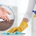Prach v domě navždy zmizí: pomůže jeden přírodní lék